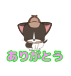 ねこ探偵 さくにゃん（個別スタンプ：19）