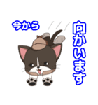 ねこ探偵 さくにゃん（個別スタンプ：27）