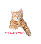 こまちこ（個別スタンプ：1）