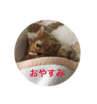 こまちこ（個別スタンプ：4）