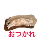 こまちこ（個別スタンプ：5）