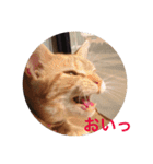 こまちこ（個別スタンプ：9）