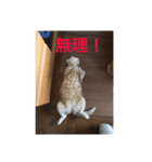 こまちこ（個別スタンプ：10）