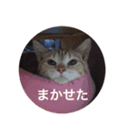 こまちこ（個別スタンプ：14）