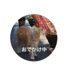 こまちこ（個別スタンプ：15）