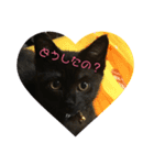 黒猫のジュビア（個別スタンプ：2）