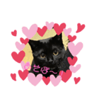 黒猫のジュビア（個別スタンプ：3）