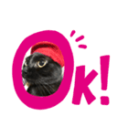 黒猫のジュビア（個別スタンプ：6）