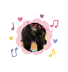 黒猫のジュビア（個別スタンプ：8）