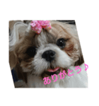 エスポワールファミリー2（個別スタンプ：6）