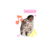みこちゃんスタンプ35（個別スタンプ：8）
