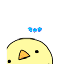 もちもちぴよりん（個別スタンプ：5）
