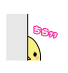 もちもちぴよりん（個別スタンプ：11）