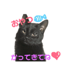 うにともずくの日常（個別スタンプ：1）