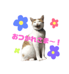うにともずくの日常（個別スタンプ：2）