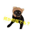 うにともずくの日常（個別スタンプ：3）
