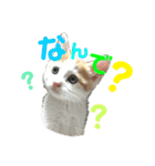 うにともずくの日常（個別スタンプ：8）