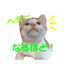 うにともずくの日常（個別スタンプ：14）