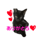 うにともずくの日常（個別スタンプ：15）
