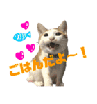 うにともずくの日常（個別スタンプ：16）
