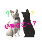 うにともずくの日常（個別スタンプ：17）