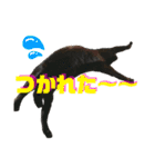 うにともずくの日常（個別スタンプ：18）