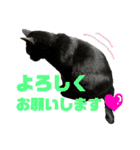 うにともずくの日常（個別スタンプ：21）