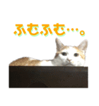 うにともずくの日常（個別スタンプ：23）