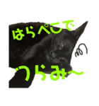 うにともずくの日常（個別スタンプ：24）