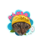 メッシュのかわいぃお花さんたち（個別スタンプ：3）