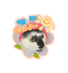 メッシュのかわいぃお花さんたち（個別スタンプ：4）