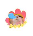 メッシュのかわいぃお花さんたち（個別スタンプ：5）