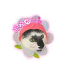 メッシュのかわいぃお花さんたち（個別スタンプ：7）
