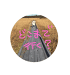 ほっかいどんの旅 にばん（個別スタンプ：6）