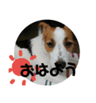 しきスタンプ4（個別スタンプ：3）