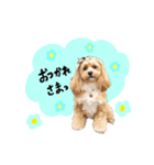 つくねちゃんのスタンプ（個別スタンプ：8）