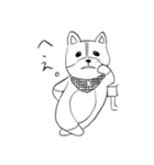 コーギーのこむぎちゃん（個別スタンプ：1）