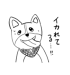 コーギーのこむぎちゃん（個別スタンプ：2）