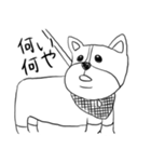 コーギーのこむぎちゃん（個別スタンプ：22）