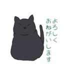 もっちり黒猫の可愛くて使いやすいスタンプ（個別スタンプ：3）
