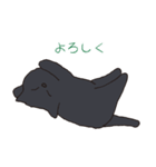 もっちり黒猫の可愛くて使いやすいスタンプ（個別スタンプ：14）