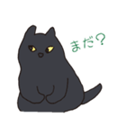もっちり黒猫の可愛くて使いやすいスタンプ（個別スタンプ：15）
