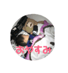 うちのだいちゃん.（個別スタンプ：9）