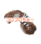 ITSUKIww（個別スタンプ：17）