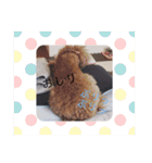 ITSUKIww（個別スタンプ：29）