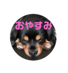 そらくんりこちゃん（個別スタンプ：4）