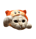 はんぺんはめす（個別スタンプ：1）