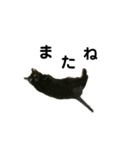 黒猫たるみ（個別スタンプ：1）
