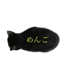 黒猫たるみ（個別スタンプ：9）