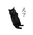 黒猫たるみ（個別スタンプ：14）